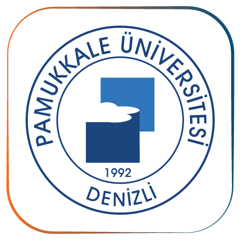 جامعة باموكالي  Pamukkale University